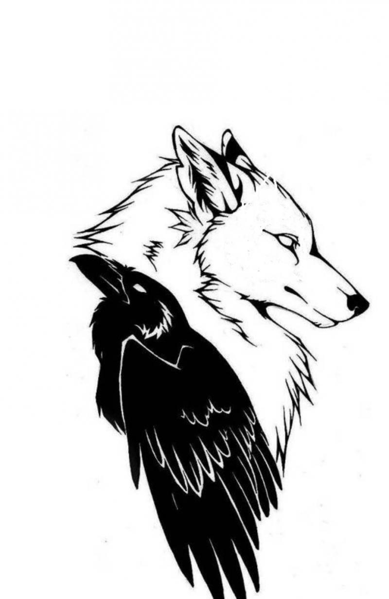 Building Alaskan Dreams - The Book Wolfdog and Raven image